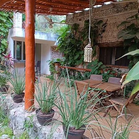 Jungle Lodge CANCUN AEROPUERTO-3